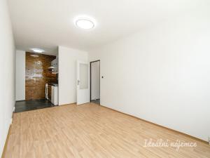 Pronájem bytu 2+kk, Praha - Chodov, Nechvílova, 43 m2