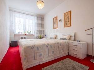 Prodej bytu 2+1, Vítkov, Budišovská, 49 m2