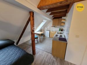 Pronájem bytu 1+kk, Opava, Englišova, 52 m2