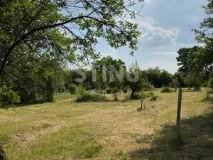 Prodej zahrady, Strážnice, 3628 m2