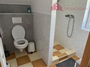 Pronájem bytu 2+1, Kozlovice, 64 m2