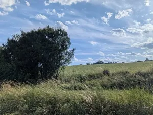 Prodej pozemku pro bydlení, Bransouze, 900 m2
