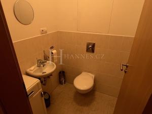Pronájem bytu 2+kk, Praha - Vinohrady, Korunní, 85 m2