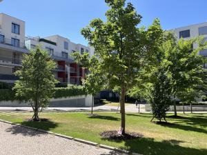 Pronájem bytu 2+kk, Praha - Vinohrady, Korunní, 85 m2