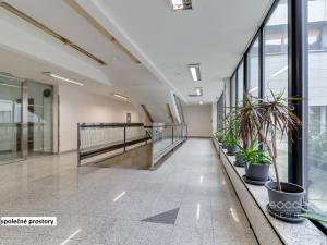 Pronájem obchodního prostoru, Praha - Libeň, Sokolovská, 250 m2