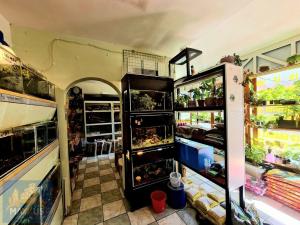 Pronájem obchodního prostoru, Praha - Žižkov, Roháčova, 52 m2