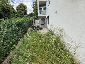 Prodej bytu 2+kk, Brno - Pisárky, Vinařská, 147 m2