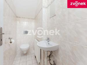 Prodej rodinného domu, Březnice, 207 m2