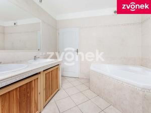 Prodej rodinného domu, Březnice, 207 m2