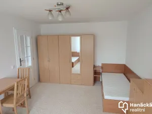 Pronájem bytu 1+1, Olomouc, Sudova, 28 m2