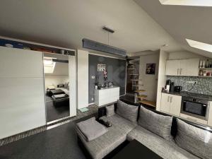 Pronájem bytu 2+kk, Plzeň - Jižní Předměstí, Borská, 48 m2