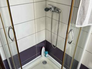 Pronájem bytu 2+kk, Plzeň - Jižní Předměstí, Borská, 48 m2