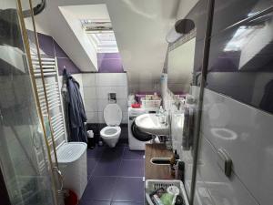 Pronájem bytu 2+kk, Plzeň - Jižní Předměstí, Borská, 48 m2