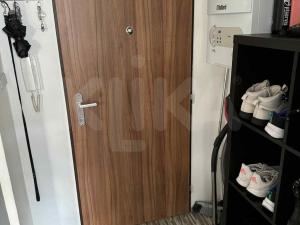 Pronájem bytu 2+kk, Plzeň - Jižní Předměstí, Borská, 48 m2