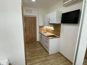 Pronájem bytu 1+kk, Zlín, Vejvanovská, 20 m2