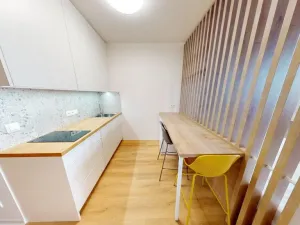 Pronájem bytu 1+kk, Praha - Břevnov, Na Větrníku, 27 m2