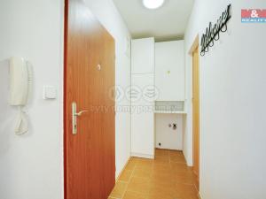 Pronájem bytu 1+kk, Město Touškov, U Špejcharu, 26 m2