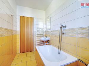 Pronájem bytu 1+kk, Město Touškov, U Špejcharu, 26 m2