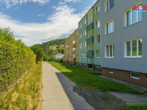 Prodej bytu 2+1, Žlutice, Vítězná, 51 m2