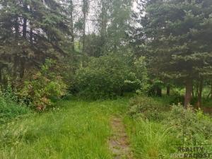 Prodej chaty, Velké Chvojno - Žďár, 36 m2