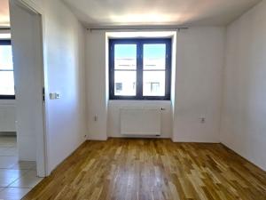 Pronájem bytu 2+1, Praha, Braunerova, 46 m2