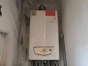Prodej bytu 2+1, Cheb, Karlova, 103 m2