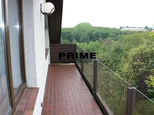 Pronájem bytu 6+kk a větší, Praha - Braník, Psohlavců, 293 m2