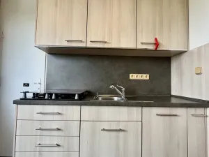 Pronájem bytu 2+1, Ostrava - Hrabůvka, Horní, 43 m2