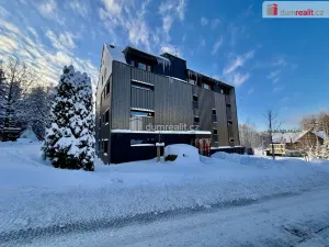 Pronájem bytu 1+1, Harrachov - Nový Svět, 43 m2
