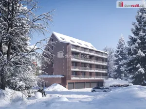 Pronájem bytu 1+1, Harrachov - Nový Svět, 43 m2