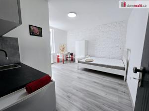 Pronájem bytu 1+kk, Lužná, Nová, 18 m2