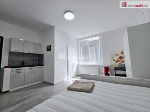Pronájem bytu 1+kk, Lužná, Nová, 18 m2