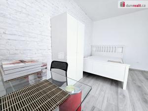 Pronájem bytu 1+kk, Lužná, Nová, 18 m2