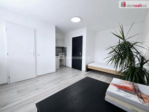 Pronájem bytu 1+kk, Lužná, Nová, 18 m2