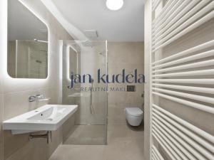 Pronájem bytu 1+kk, Brno, Trnitá, 33 m2