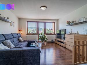 Prodej rodinného domu, Nové Sedlice, U Hřiště, 160 m2
