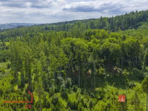 Prodej pozemku pro bydlení, Jihlava - Zborná, 704 m2