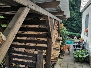 Prodej rodinného domu, Bochov, Lipová, 200 m2