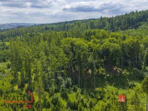 Prodej rodinného domu, Jihlava - Zborná, 136 m2