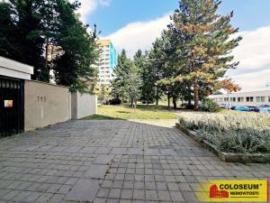 Pronájem bytu 1+1, Brno, Halasovo náměstí, 31 m2