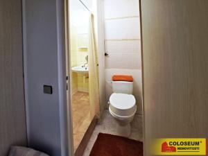 Pronájem bytu 1+1, Brno, Halasovo náměstí, 31 m2