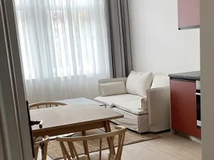 Pronájem bytu 2+kk, Praha - Vinohrady, Chodská, 48 m2