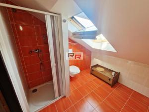 Pronájem bytu 1+kk, Olomouc - Nová Ulice, Na chmelnici, 70 m2