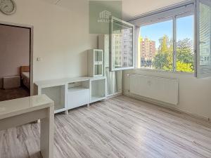 Pronájem bytu 1+1, Plzeň, Sokolovská, 40 m2