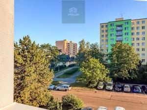 Pronájem bytu 1+1, Plzeň, Sokolovská, 40 m2