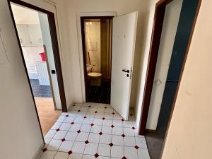 Prodej bytu 2+kk, Karlovy Vary, nábřeží Jana Palacha, 44 m2