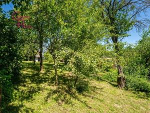 Prodej chaty, Bohdalice-Pavlovice - Pavlovice, 40 m2
