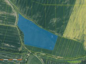 Prodej louky, Přeštice, 87920 m2
