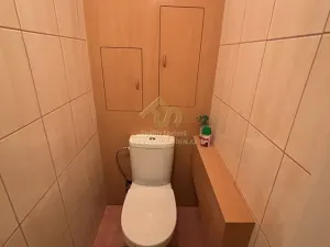 Pronájem bytu 1+1, Plzeň, Břeclavská, 39 m2