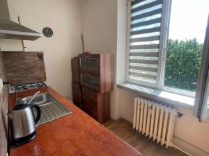 Prodej bytu 2+1, Sokolov, Sokolovská, 52 m2